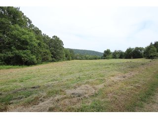 Property photo 7 - LAND AUCTION - 354+/- ACRES OFFERED IN 8 TRACTS IN CHEROKEE CO., OK