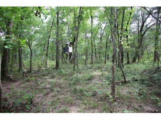 Property photo 12 - LAND AUCTION - 354+/- ACRES OFFERED IN 8 TRACTS IN CHEROKEE CO., OK