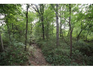Property photo 14 - LAND AUCTION - 354+/- ACRES OFFERED IN 8 TRACTS IN CHEROKEE CO., OK