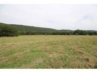 Property photo 10 - LAND AUCTION - 354+/- ACRES OFFERED IN 8 TRACTS IN CHEROKEE CO., OK