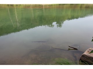 Property photo 17 - LAND AUCTION - 354+/- ACRES OFFERED IN 8 TRACTS IN CHEROKEE CO., OK