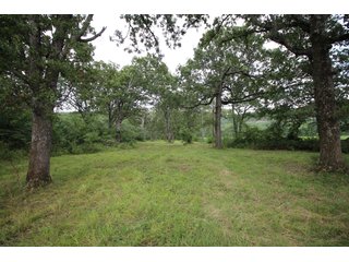 Property photo 35 - LAND AUCTION - 354+/- ACRES OFFERED IN 8 TRACTS IN CHEROKEE CO., OK