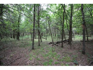 Property photo 38 - LAND AUCTION - 354+/- ACRES OFFERED IN 8 TRACTS IN CHEROKEE CO., OK
