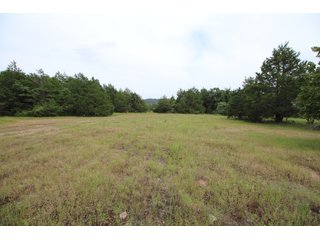 Property photo 39 - LAND AUCTION - 354+/- ACRES OFFERED IN 8 TRACTS IN CHEROKEE CO., OK