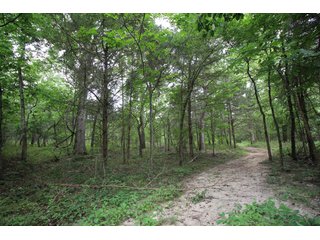 Property photo 46 - LAND AUCTION - 354+/- ACRES OFFERED IN 8 TRACTS IN CHEROKEE CO., OK