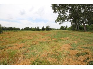 Property photo 43 - LAND AUCTION - 354+/- ACRES OFFERED IN 8 TRACTS IN CHEROKEE CO., OK