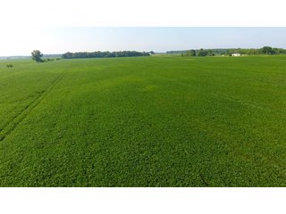 Property photo 24 - INVESTMENT QUALITY FARM LAND AUCTION 418 +/- ACRES IN 10 TRACTS IN AUGLAIZE COUNTY, OHIO