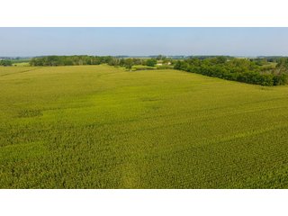 Property photo 22 - INVESTMENT QUALITY FARM LAND AUCTION 418 +/- ACRES IN 10 TRACTS IN AUGLAIZE COUNTY, OHIO