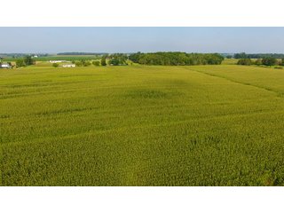 Property photo 19 - INVESTMENT QUALITY FARM LAND AUCTION 418 +/- ACRES IN 10 TRACTS IN AUGLAIZE COUNTY, OHIO