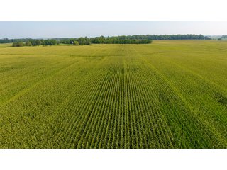 Property photo 8 - INVESTMENT QUALITY FARM LAND AUCTION 418 +/- ACRES IN 10 TRACTS IN AUGLAIZE COUNTY, OHIO