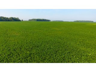 Property photo 9 - INVESTMENT QUALITY FARM LAND AUCTION 418 +/- ACRES IN 10 TRACTS IN AUGLAIZE COUNTY, OHIO