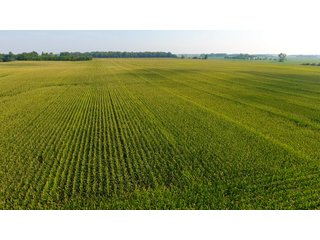 Property photo 32 - INVESTMENT QUALITY FARM LAND AUCTION 418 +/- ACRES IN 10 TRACTS IN AUGLAIZE COUNTY, OHIO