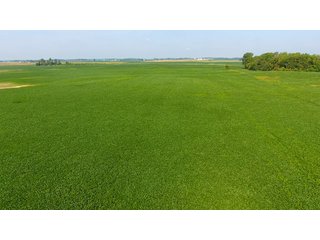 Property photo 16 - INVESTMENT QUALITY FARM LAND AUCTION 418 +/- ACRES IN 10 TRACTS IN AUGLAIZE COUNTY, OHIO