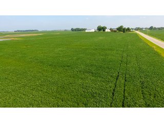 Property photo 21 - INVESTMENT QUALITY FARM LAND AUCTION 418 +/- ACRES IN 10 TRACTS IN AUGLAIZE COUNTY, OHIO