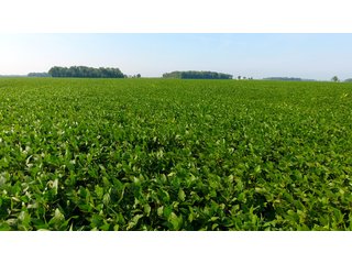 Property photo 20 - INVESTMENT QUALITY FARM LAND AUCTION 418 +/- ACRES IN 10 TRACTS IN AUGLAIZE COUNTY, OHIO