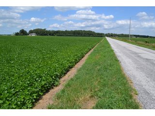 Property photo 10 - LAND AUCTION - 75+/- ACRES OFFERED IN 1 TRACT IN LAKE COUNTY, INDIANA