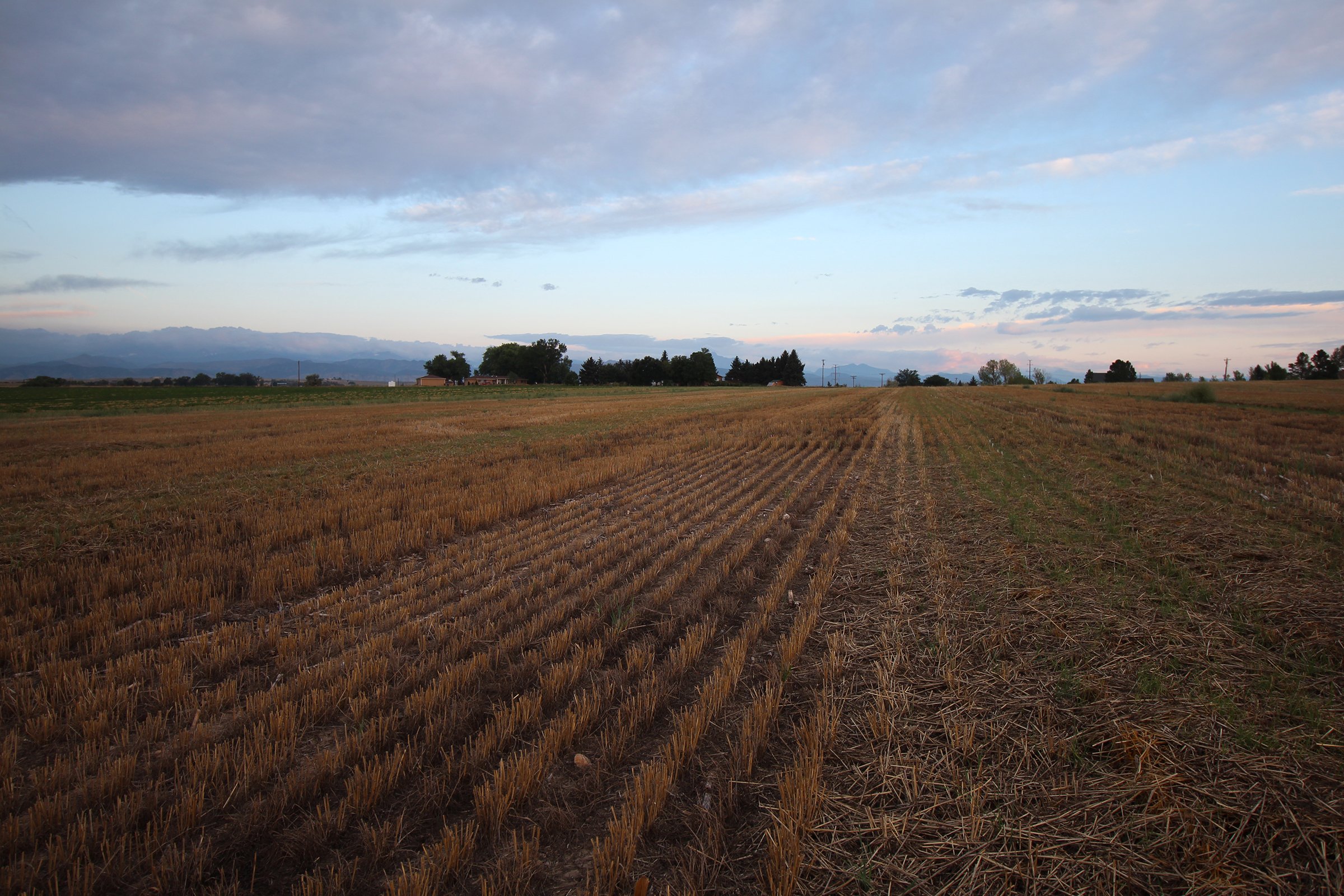 Property photo 7 - LAND & WATER RIGHTS AUCTION - 33+/- ACRES & 67 WATER UNITS/SHARES IN 26 TRACTS IN BOULDER COUNTY, CO