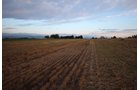 Property photo 7 - LAND & WATER RIGHTS AUCTION - 33+/- ACRES & 67 WATER UNITS/SHARES IN 26 TRACTS IN BOULDER COUNTY, CO