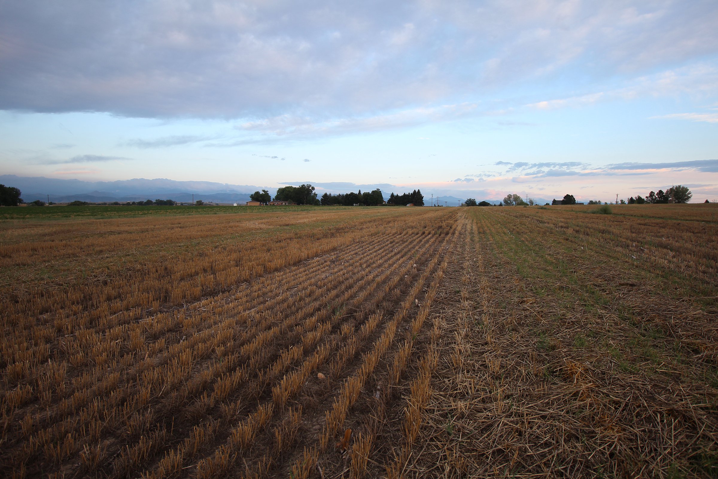 Property photo 9 - LAND & WATER RIGHTS AUCTION - 33+/- ACRES & 67 WATER UNITS/SHARES IN 26 TRACTS IN BOULDER COUNTY, CO