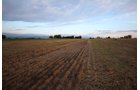 Property photo 9 - LAND & WATER RIGHTS AUCTION - 33+/- ACRES & 67 WATER UNITS/SHARES IN 26 TRACTS IN BOULDER COUNTY, CO