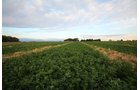 Property photo 3 - LAND & WATER RIGHTS AUCTION - 33+/- ACRES & 67 WATER UNITS/SHARES IN 26 TRACTS IN BOULDER COUNTY, CO