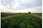 Property photo 6 - LAND & WATER RIGHTS AUCTION - 33+/- ACRES & 67 WATER UNITS/SHARES IN 26 TRACTS IN BOULDER COUNTY, CO