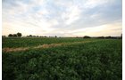 Property photo 11 - LAND & WATER RIGHTS AUCTION - 33+/- ACRES & 67 WATER UNITS/SHARES IN 26 TRACTS IN BOULDER COUNTY, CO