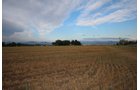 Property photo 10 - LAND & WATER RIGHTS AUCTION - 33+/- ACRES & 67 WATER UNITS/SHARES IN 26 TRACTS IN BOULDER COUNTY, CO
