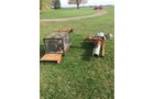 Property photo 68 - AREA FARMERS & CONTRACTORS EQUIPMENT AUCTION IN SOUTHERN CASS CO., MICHIGAN