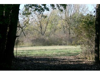 Property photo 19 - LAND AUCTION - 2 PROPERTIES, 3.84+/- ACRES IN ALLEN COUNTY, INDIANA & 15+/- ACRES IN DEKALB COUNTY, INDIANA