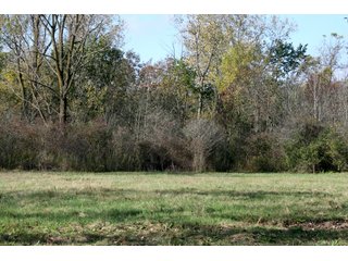 Property photo 20 - LAND AUCTION - 2 PROPERTIES, 3.84+/- ACRES IN ALLEN COUNTY, INDIANA & 15+/- ACRES IN DEKALB COUNTY, INDIANA