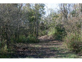 Property photo 22 - LAND AUCTION - 2 PROPERTIES, 3.84+/- ACRES IN ALLEN COUNTY, INDIANA & 15+/- ACRES IN DEKALB COUNTY, INDIANA