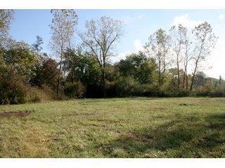 Property photo 23 - LAND AUCTION - 2 PROPERTIES, 3.84+/- ACRES IN ALLEN COUNTY, INDIANA & 15+/- ACRES IN DEKALB COUNTY, INDIANA
