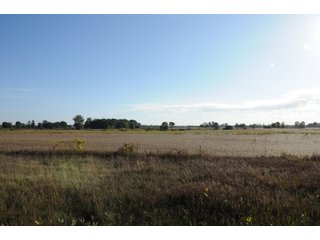 Property photo 51 - REAL ESTATE AUCTION - 495+/- ACRES OFFERED IN 19 TRACTS IN BRANCH COUNTY, MICHIGAN