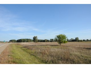 Property photo 45 - REAL ESTATE AUCTION - 495+/- ACRES OFFERED IN 19 TRACTS IN BRANCH COUNTY, MICHIGAN