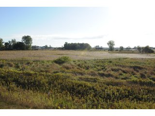Property photo 47 - REAL ESTATE AUCTION - 495+/- ACRES OFFERED IN 19 TRACTS IN BRANCH COUNTY, MICHIGAN