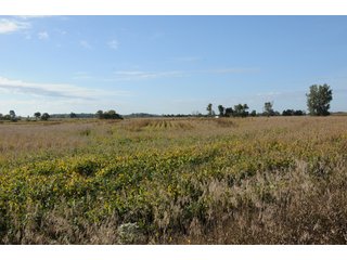 Property photo 37 - REAL ESTATE AUCTION - 495+/- ACRES OFFERED IN 19 TRACTS IN BRANCH COUNTY, MICHIGAN