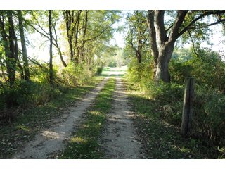 Property photo 18 - REAL ESTATE AUCTION - 495+/- ACRES OFFERED IN 19 TRACTS IN BRANCH COUNTY, MICHIGAN