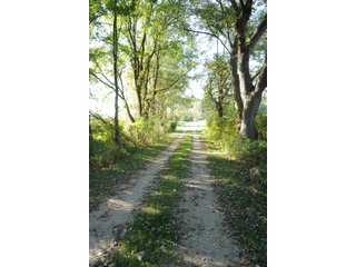 Property photo 13 - REAL ESTATE AUCTION - 495+/- ACRES OFFERED IN 19 TRACTS IN BRANCH COUNTY, MICHIGAN