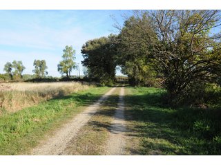Property photo 15 - REAL ESTATE AUCTION - 495+/- ACRES OFFERED IN 19 TRACTS IN BRANCH COUNTY, MICHIGAN