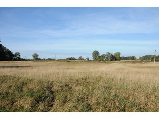 Property photo 55 - REAL ESTATE AUCTION - 495+/- ACRES OFFERED IN 19 TRACTS IN BRANCH COUNTY, MICHIGAN