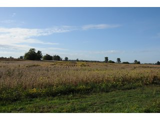 Property photo 39 - REAL ESTATE AUCTION - 495+/- ACRES OFFERED IN 19 TRACTS IN BRANCH COUNTY, MICHIGAN