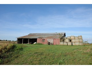 Property photo 54 - REAL ESTATE AUCTION - 495+/- ACRES OFFERED IN 19 TRACTS IN BRANCH COUNTY, MICHIGAN
