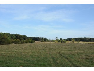 Property photo 40 - REAL ESTATE AUCTION - 495+/- ACRES OFFERED IN 19 TRACTS IN BRANCH COUNTY, MICHIGAN