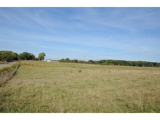 Property photo 29 - REAL ESTATE AUCTION - 495+/- ACRES OFFERED IN 19 TRACTS IN BRANCH COUNTY, MICHIGAN