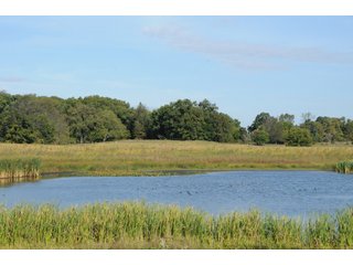 Tract 18 - REAL ESTATE AUCTION - 495+/- ACRES OFFERED IN 19 TRACTS IN BRANCH COUNTY, MICHIGAN