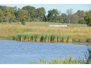 Property photo 33 - REAL ESTATE AUCTION - 495+/- ACRES OFFERED IN 19 TRACTS IN BRANCH COUNTY, MICHIGAN
