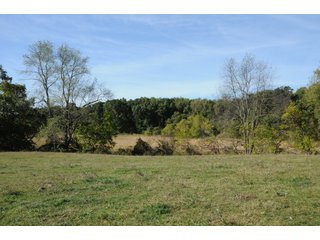 Property photo 35 - REAL ESTATE AUCTION - 495+/- ACRES OFFERED IN 19 TRACTS IN BRANCH COUNTY, MICHIGAN