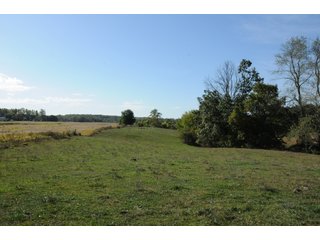 Property photo 36 - REAL ESTATE AUCTION - 495+/- ACRES OFFERED IN 19 TRACTS IN BRANCH COUNTY, MICHIGAN