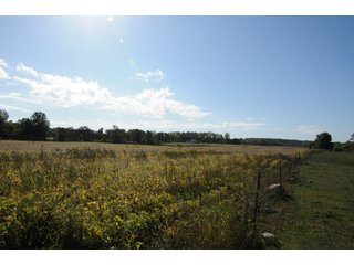 Property photo 34 - REAL ESTATE AUCTION - 495+/- ACRES OFFERED IN 19 TRACTS IN BRANCH COUNTY, MICHIGAN